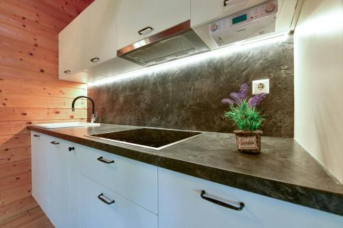 a kitchen with a sink and a counter top at Tiny House Grabovac in Rakovica