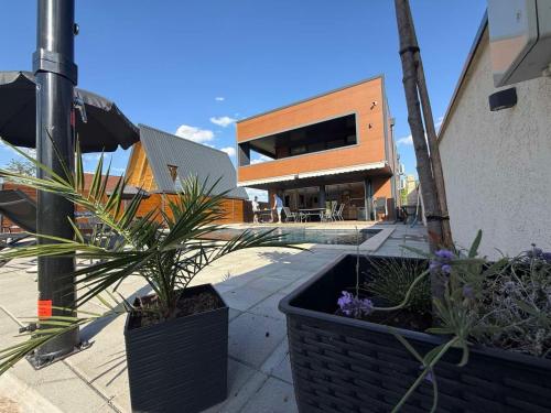 a building with two large potted plants in front of it at AdDrinum in Gornja Koviljača