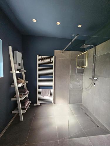 a bathroom with a shower and a glass shower stall at Ferienwohnung Stella in Zülpich