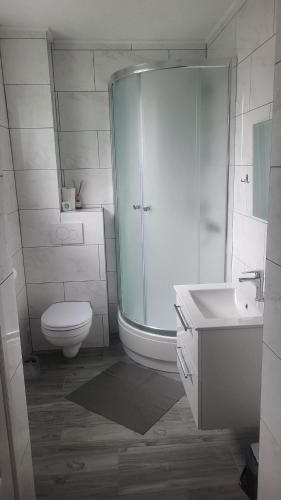 a bathroom with a shower and a toilet and a sink at Dom pod Winogronem in Szczawnica