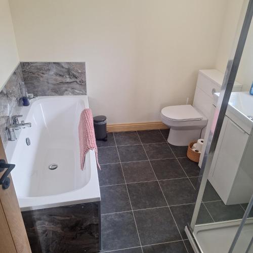 a bathroom with a tub and a toilet at Parciau barn in Clyro