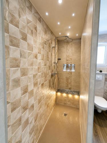 a bathroom with a toilet and a shower at Gîte Autour d'Opale in Cucq