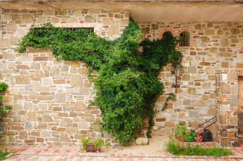 a ivy covered cross on the side of a brick wall at Lahuta e Vjeter Agroturizem in Laç