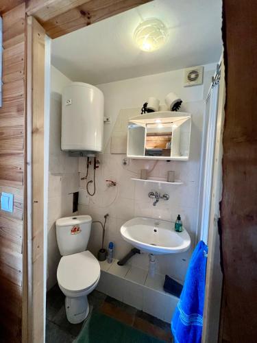 a small bathroom with a toilet and a sink at Rajski Domek Rajsko in Bożkowice