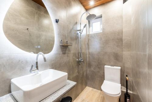 a bathroom with a sink and a toilet and a mirror at Chalet Firefly in Bansko