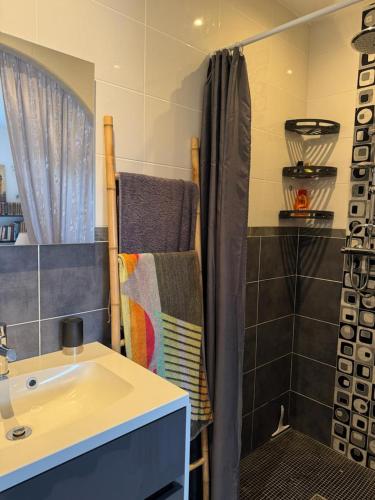 a bathroom with a sink and a towel rack at Chambre d'hôtes in Montauban