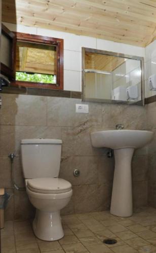 a bathroom with a toilet and a sink at Farma Sotira Agroturizem in Leskovik