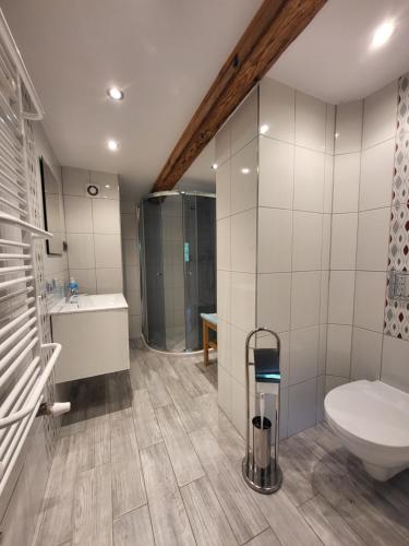 a bathroom with a toilet and a sink at Gajowe Zacisze in Mirsk