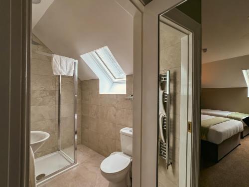 a bathroom with a toilet and a sink and a skylight at Adams Townhouse in Dingle
