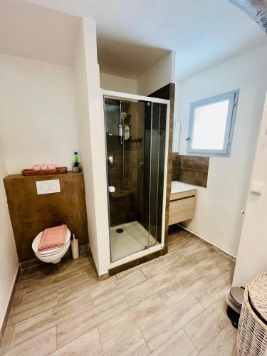 a bathroom with a shower and a toilet at Appartement T2 centre village in Cucuron