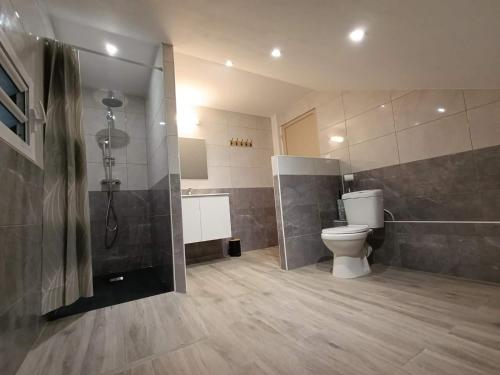 a bathroom with a toilet and a shower and a sink at La grande découverte 2 in Cilaos