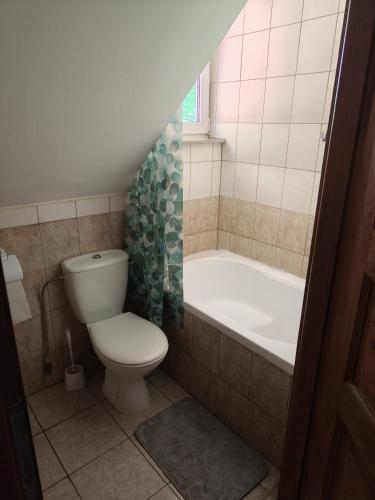 a bathroom with a toilet and a bath tub at Lipowy Dworek Pensjonat in Staroguby