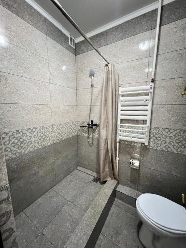 a bathroom with a shower with a toilet in it at Sayak hotel & hostel in Karakol