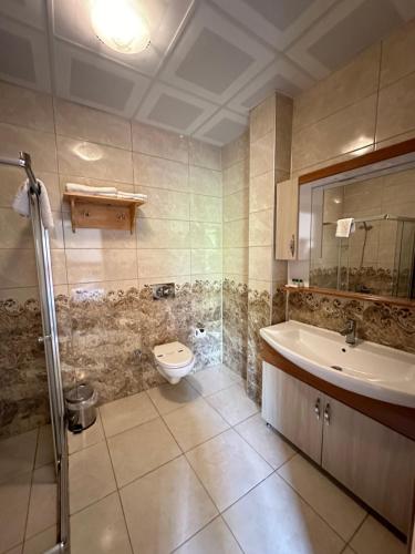 a bathroom with a toilet and a sink at Mersu Ala Konak Otel maşukiye sapanca in Kocaeli