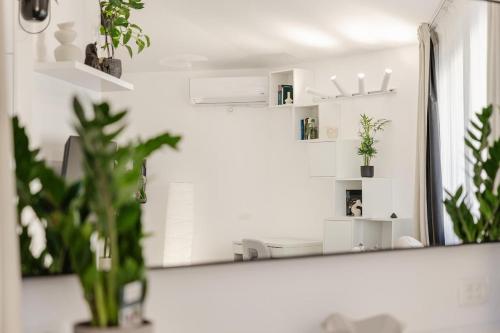 a mirror on a wall with plants in a room at Sanseveria in Španjola