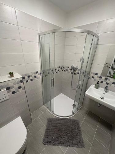 a bathroom with a shower and a toilet and a sink at Studio U Martina in Mariánské Lázně