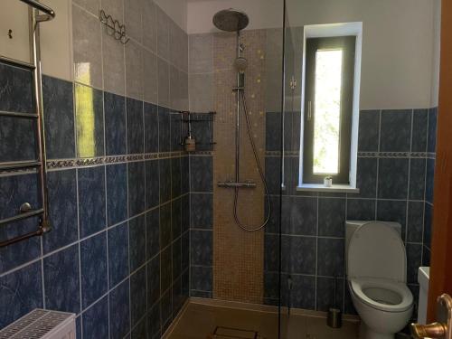 a bathroom with a shower with a toilet and a window at Viesu nams Purenes in Vecmuiža