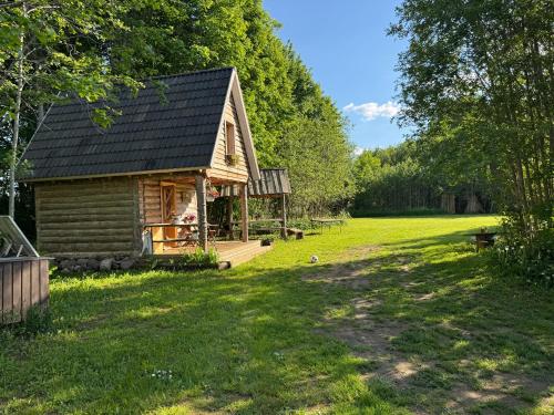 a log cabin in a field with a grass yard at Salatse metsaonn in Salatse