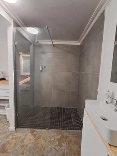 a bathroom with a shower and a sink at Hope Street Studio in Kuilsrivier