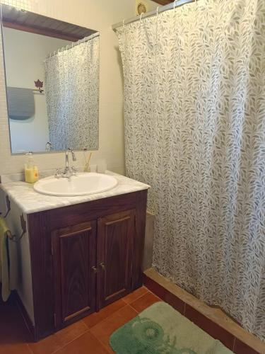 a bathroom with a sink and a shower curtain at Monte dos Pintos in Arronches