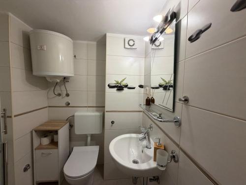 a small bathroom with a toilet and a sink at Adria Pearl Appartments in Vrsar