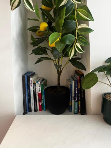 Studio, hyper central, Paris 10th arrondissement