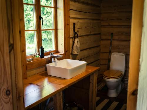 a bathroom with a sink and a toilet at Sauna house with minilake in Voki