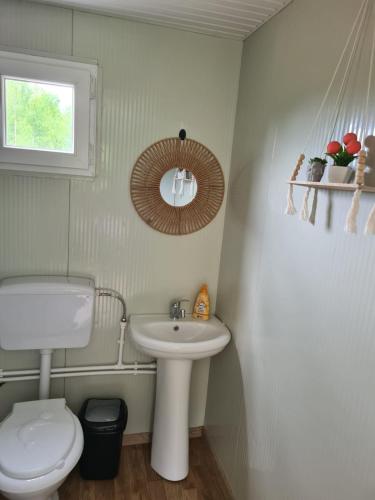 a small bathroom with a toilet and a sink at Purple Diamond in Damiş