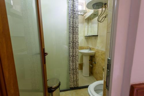 a bathroom with a shower and a toilet and a sink at Boutique Hotel 89 in Peje