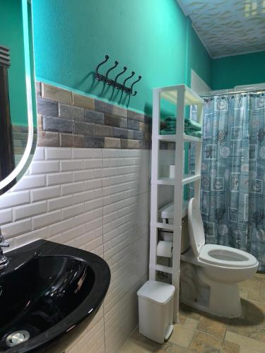 a bathroom with a toilet and a sink at Rainforest Lodge del Rio in Portobelo