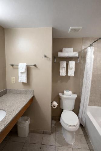 a bathroom with a toilet and a sink and a tub at The Sea Ranch Resort in Kill Devil Hills