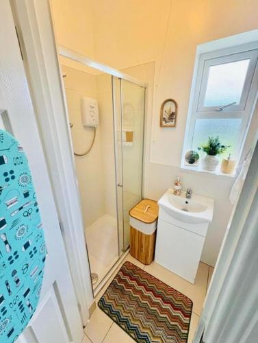 a small bathroom with a shower and a sink at 1 Bed Flat - Sleeps 2 - Parking - Garden in Derry Londonderry