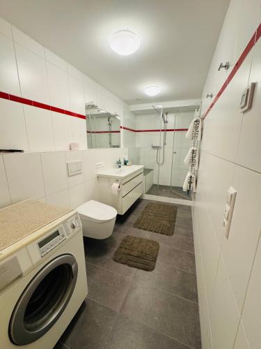 a white bathroom with a washing machine in it at Unterhecherhof in Bannberg