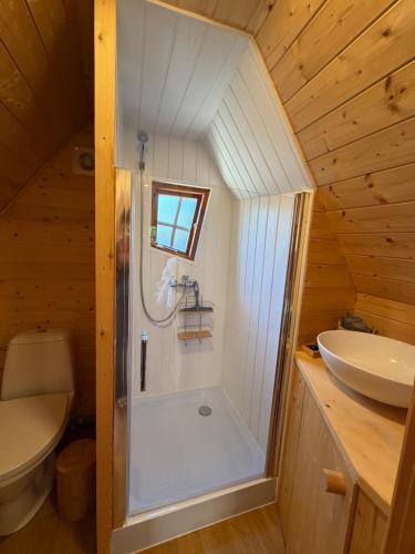 a small bathroom with a shower and a sink at La cabane escagassée in Grambois
