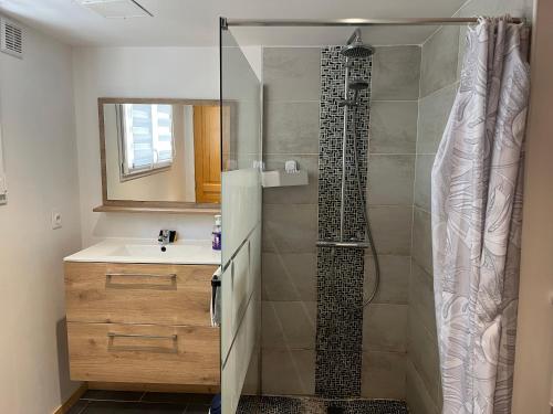a bathroom with a shower and a sink at Logis Sol Levante in Arles-sur-Tech