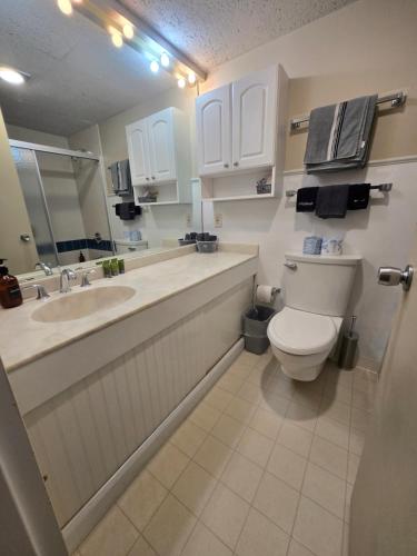 a bathroom with a toilet and a sink at Cedar Lodge Condo with Private Balcony & Full Kitchen in Laconia