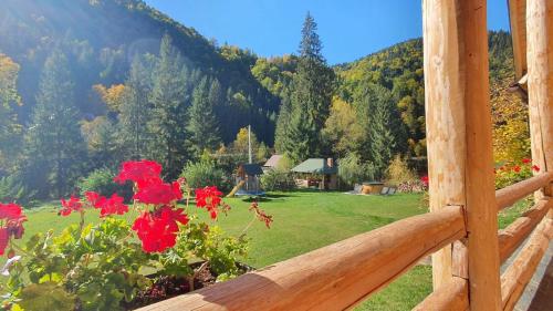 a view from a fence of a yard with red flowers at Pensiunea Larix in Răchiţele