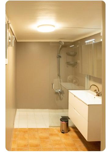 a bathroom with a shower and a sink and a toilet at Rekkehus Tyssedal Trolltunga in Tveit