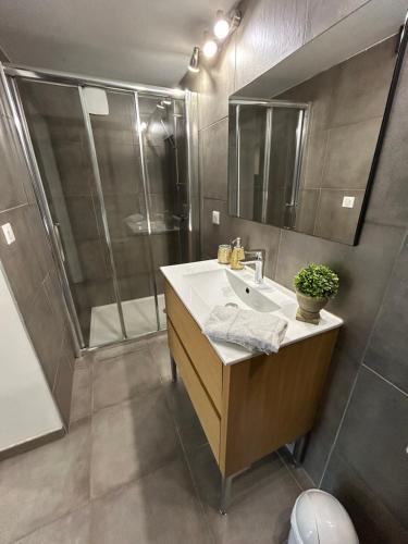 a bathroom with a sink and a shower at Charmant appartement à Ajaccio in Ajaccio