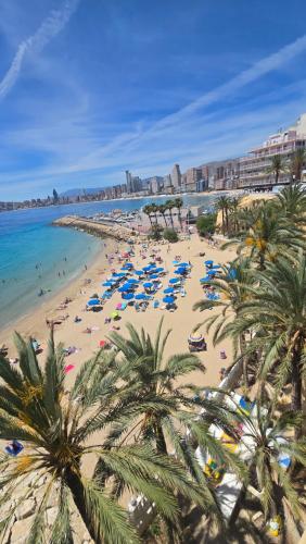 Wiky's Beach Life Benidorm