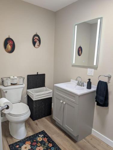 a bathroom with a toilet and a sink and a mirror at Scenic Homestead Barndominium in Dryden