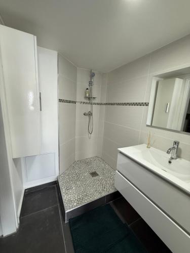 a white bathroom with a shower and a sink at JPY S Suite in Pointe-à-Pitre
