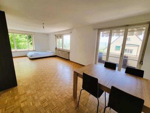 Zurich Center Flats with Balcony - Rigi
