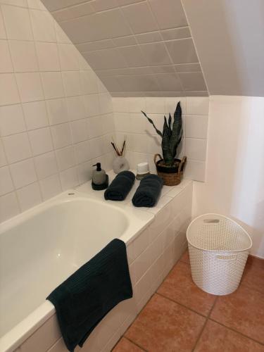 a bathroom with a bath tub with a plant at Superbe duplex les belles Rives Argentat bords Dordogne avec wifi in Argentat
