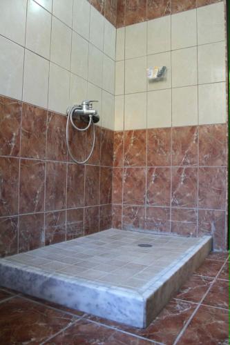 a bathroom with a shower with a stone tub at La Famiglia Villa in Velipojë