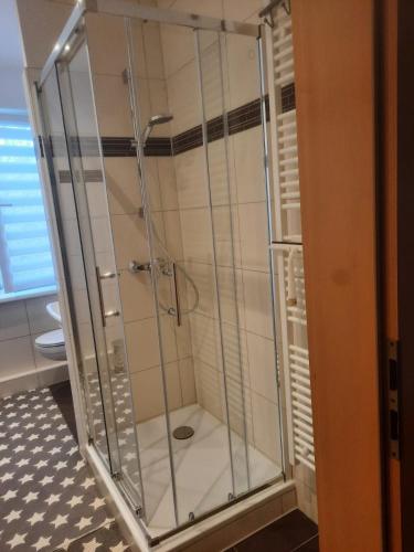a shower with a glass door in a bathroom at Ferienwohnung in Reuterstadt Stavenhagen