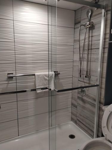 a bathroom with a glass shower with a toilet at Tiki Resort - Lake George in Lake George