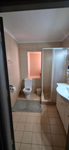 a bathroom with a toilet and a shower and a sink at Home Dimitra in Grammatikiánoi