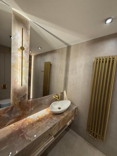 a bathroom with a sink and a mirror at Apartament - VIDOK 109 in Olsztyn