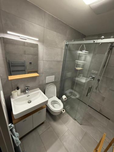 a bathroom with a shower and a toilet and a sink at Apartmán Emilka in Janov nad Nisou